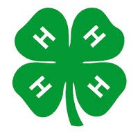 4H Logo.