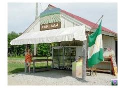 Fred's Farm Farmstand - Click for a larger image and more Alexandria photos.