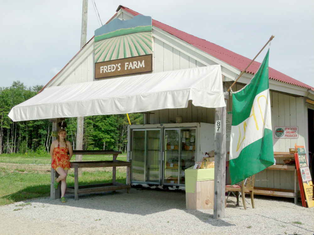 Alexandria, NH - Fred's Farm Farmstand