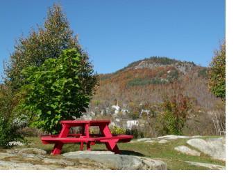 A fall view of a corner of the Laura Lee Viger Botanical Garden.