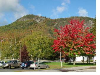 A fall view of Mount Forest (left).