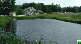 Remick Farm Fishing Pond - Click for a larger image!