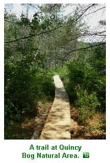 A trail at the Quincy Bog Natural Area.