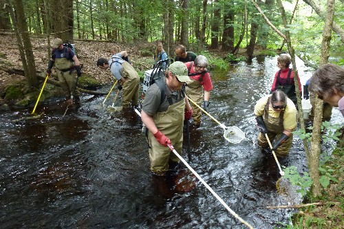 NH teachers being taught how to do a fish census.